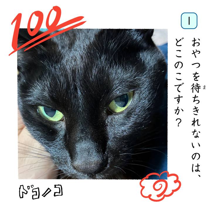 323a58a6 5a38 496e 9e20 d508ed3ff2c8 1744283512585