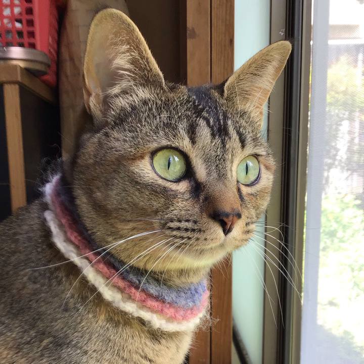 323a5aa9 7aac 452b b4b7 83dfe1b9b7a1 1620012394757