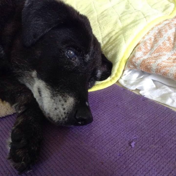 323a684f 2141 4de6 9ddd eabec4e51d1b 1509507231882