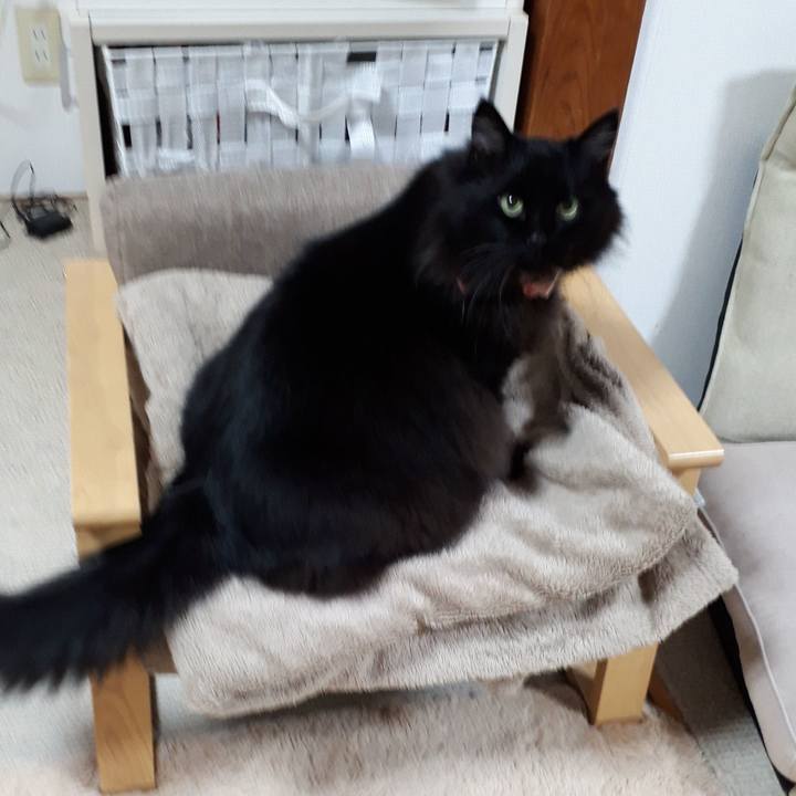 323a6b6f a050 46b9 8cbb 93c1beaab055 1521145197625