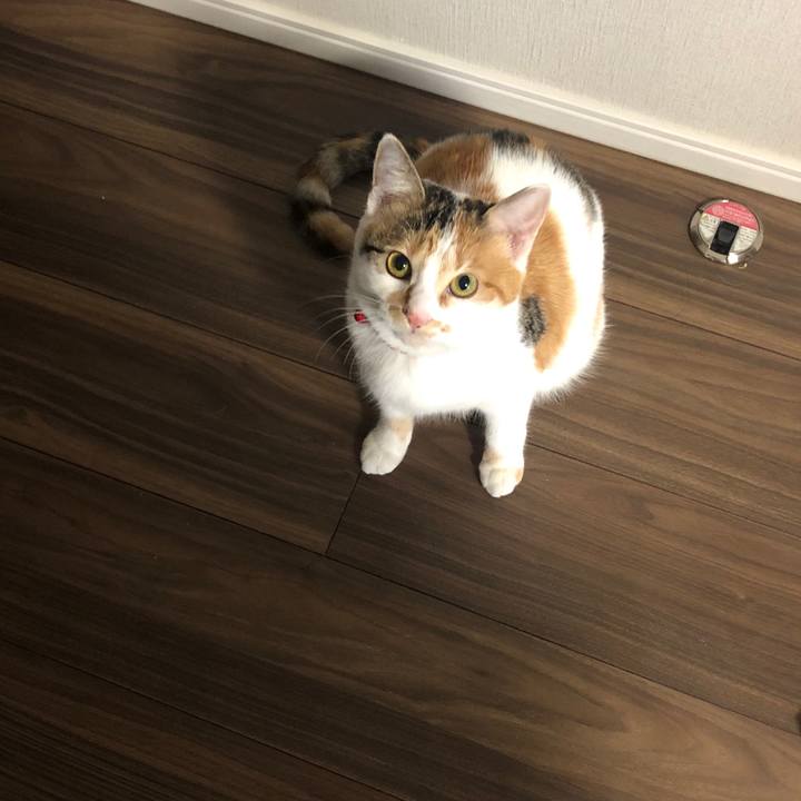 323a6b8f 3344 4776 94d0 95a2a70ba614 1579736047301