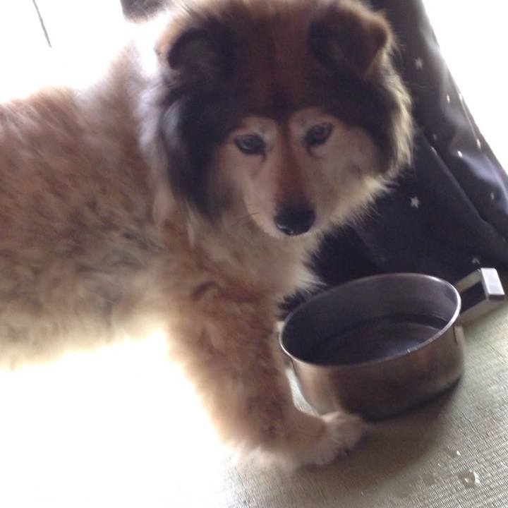 323a97c9 36e4 460e 83d4 6a891cd60a23 1599210823231