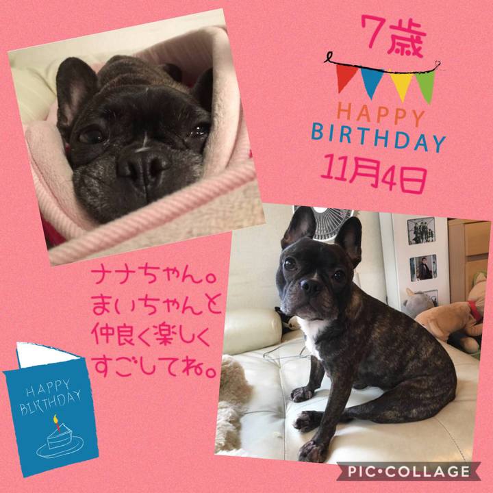 323a98ba df98 4081 a498 b05f5731f352 1542281314651