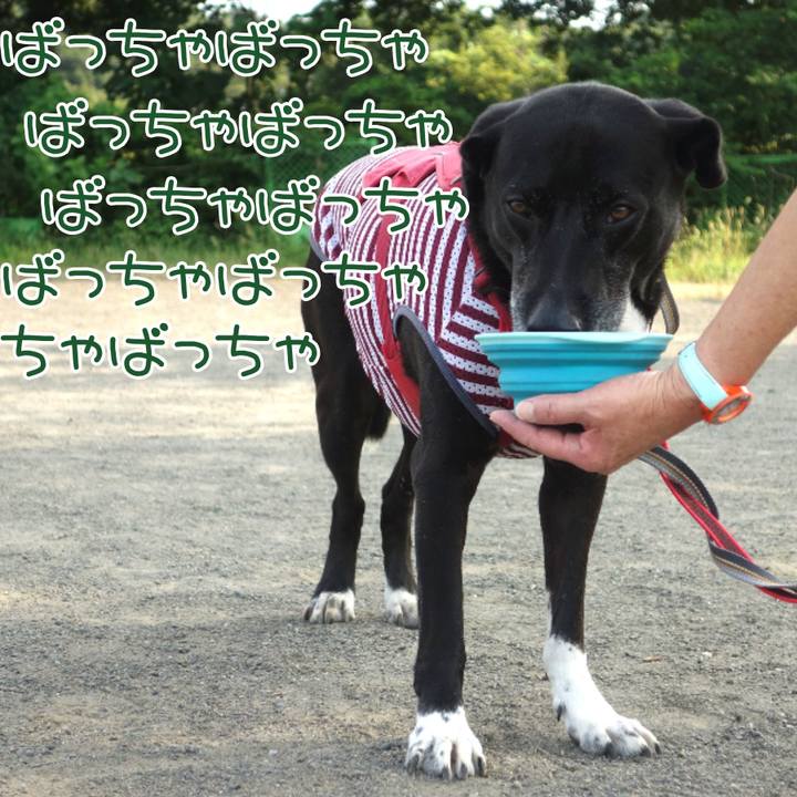 323aa589 9061 4eab b1d4 9a9d7694b391 1690416016298