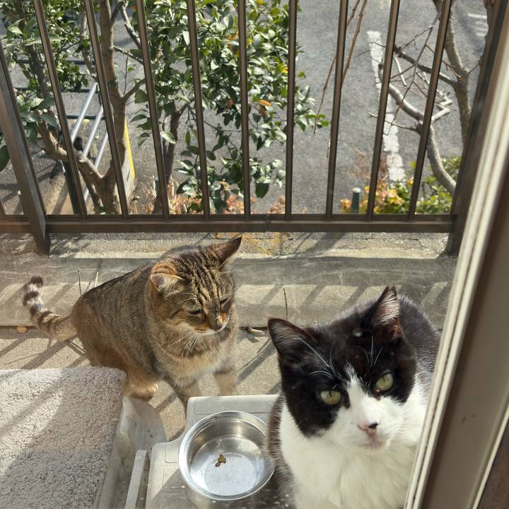 323ab344 d1ea 421a b7eb 24a3ca0df5ba 1772088816075