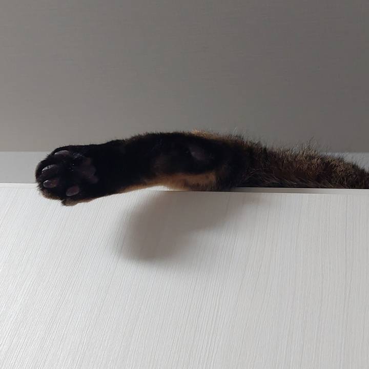 323ac4e5 bf4f 4b53 8661 f4270620356b 1636725959904