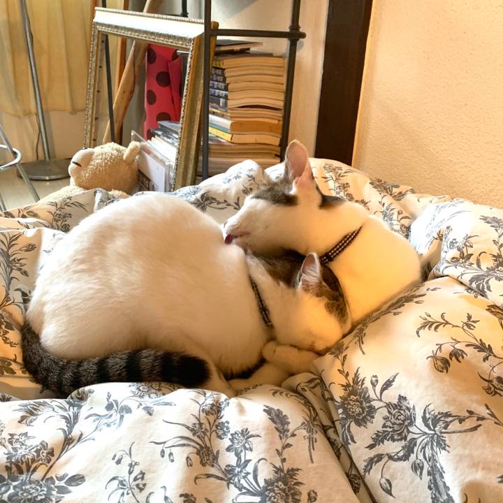 323adccf d924 428b be0d 4775211e53ec 1573192012218