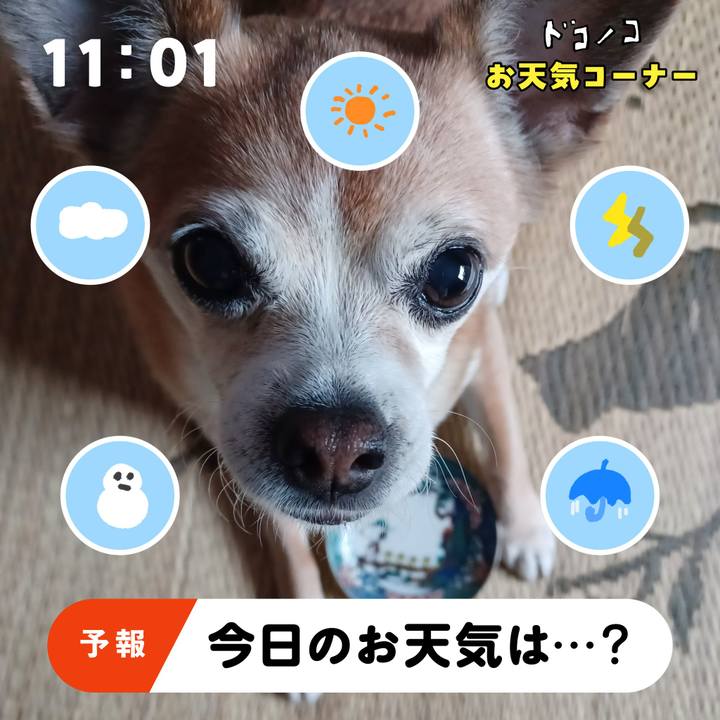 323b1c50 f261 479c aa3f f9ab21d106a8 1781559744276