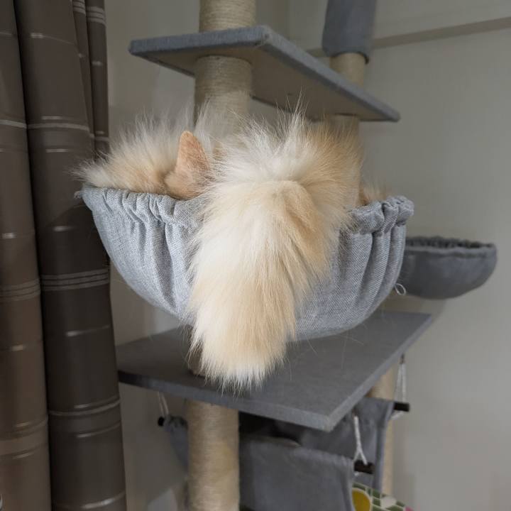 323b2966 64e9 4d6d 91ed bf0cee8cd783 1749789961713