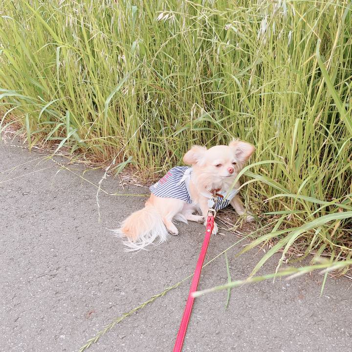 323b30a1 bbd6 4a56 806e d65185695162 1653036232616