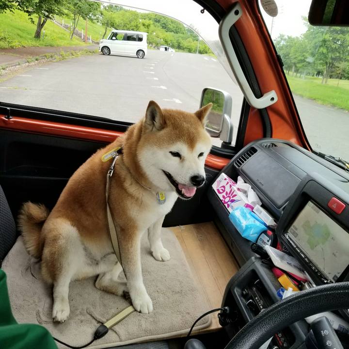 323b44e8 6fa9 445e af43 f604ed9c174f 1652591325028