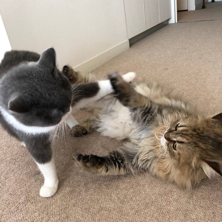 323b9ff2 e5a0 4aa5 b77d e45b658c7cae 1532133228097