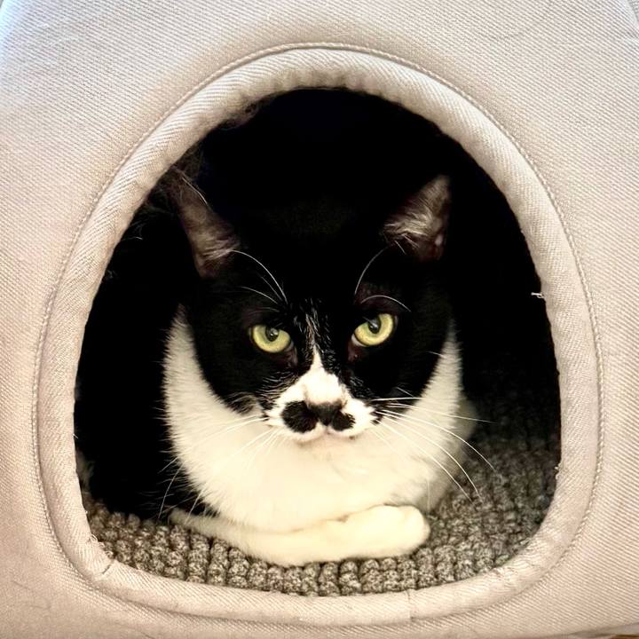 323bb93b 5ca3 46fc 84ca 32441ee30cd6 1733888016763