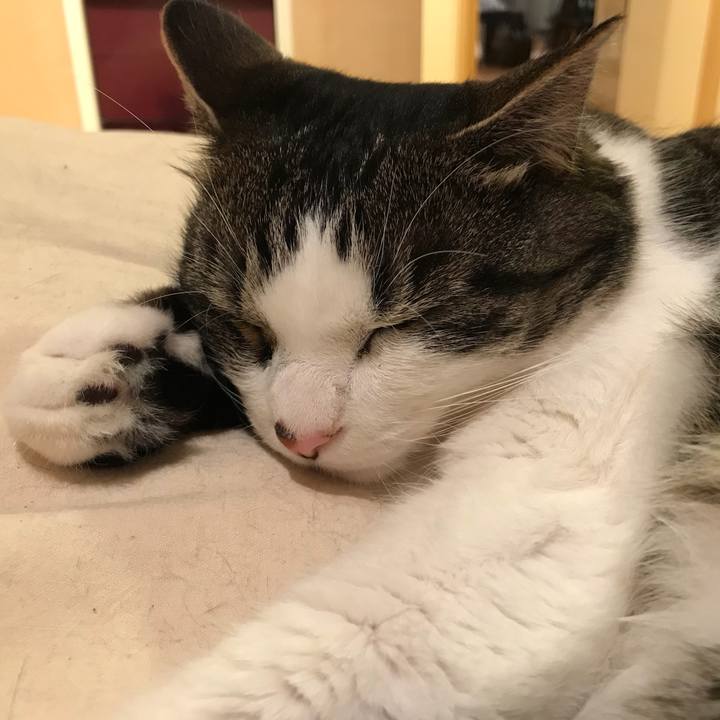 323bc93e e314 4185 a771 4423d4623ee6 1562126192144