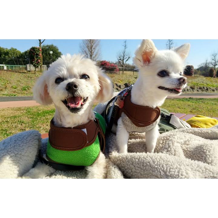 323bd5a6 27c0 4b1c a64f ef84d6279240 1670681644375