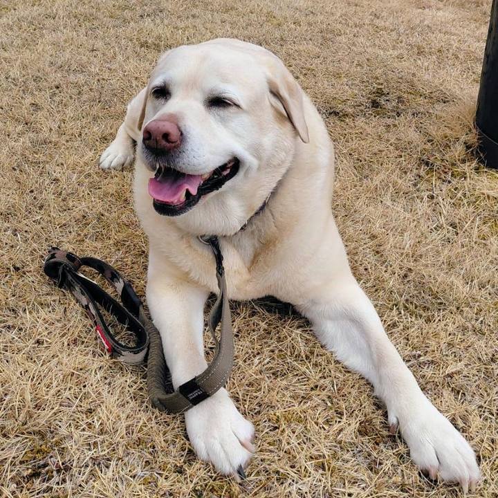 323bf899 0b63 45f4 ad91 ef3ebad0e4ad 1773968311317