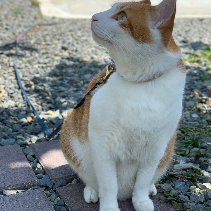 323c14d0 849a 47f9 9659 c3a3f4c6d484 1628082184088