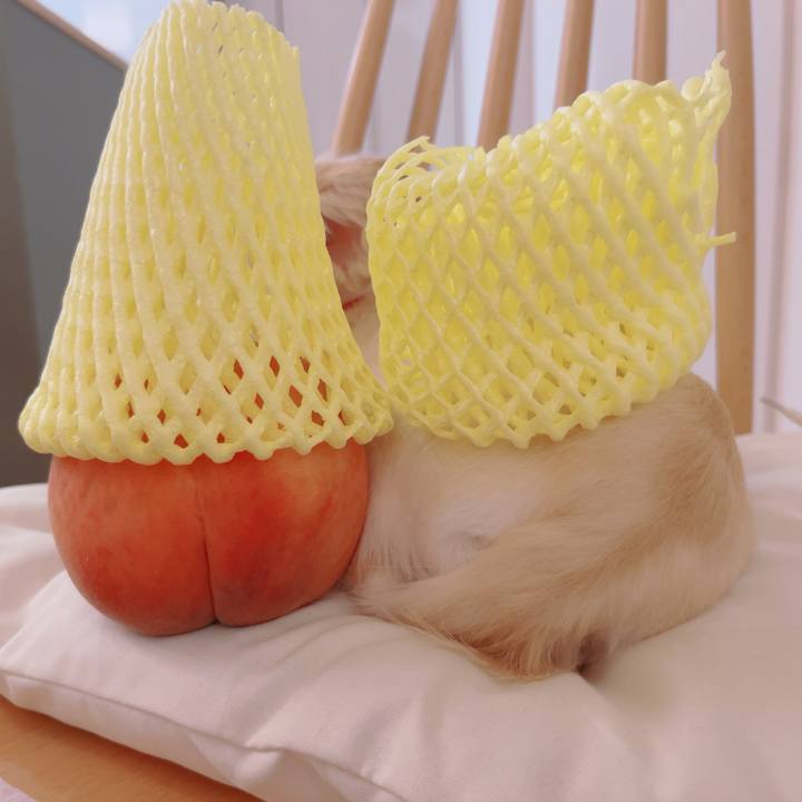 323c5148 866a 4628 ad1a 1a851389399d 1757297870950