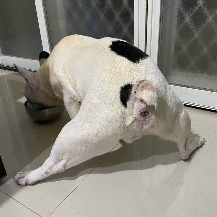 323ccfee feed 426c bf16 231240fe451d 1626401776367