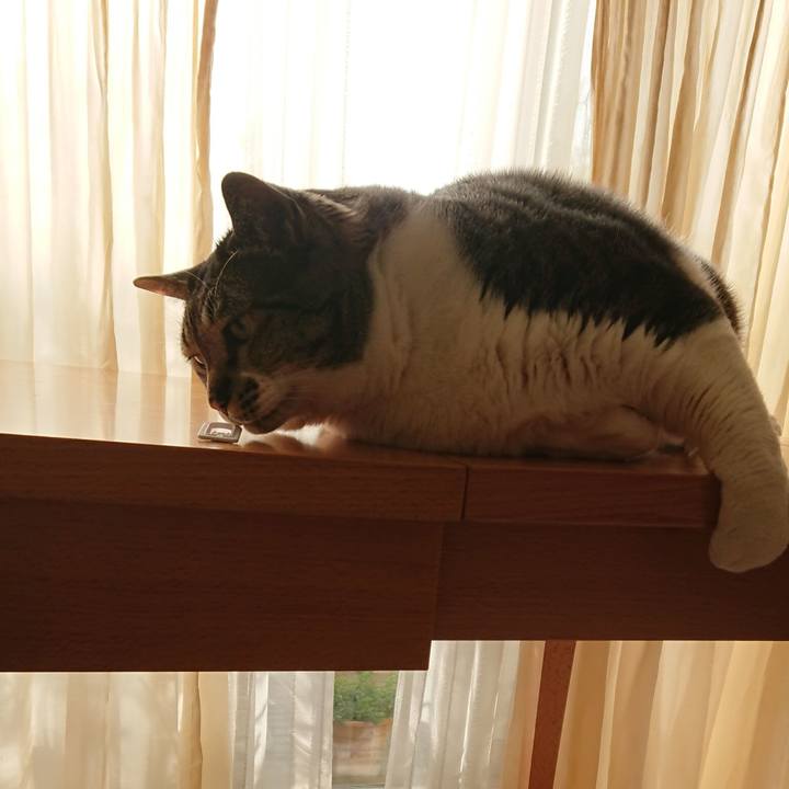 323d12eb ac30 458c 8353 b31e93059e10 1526421987921