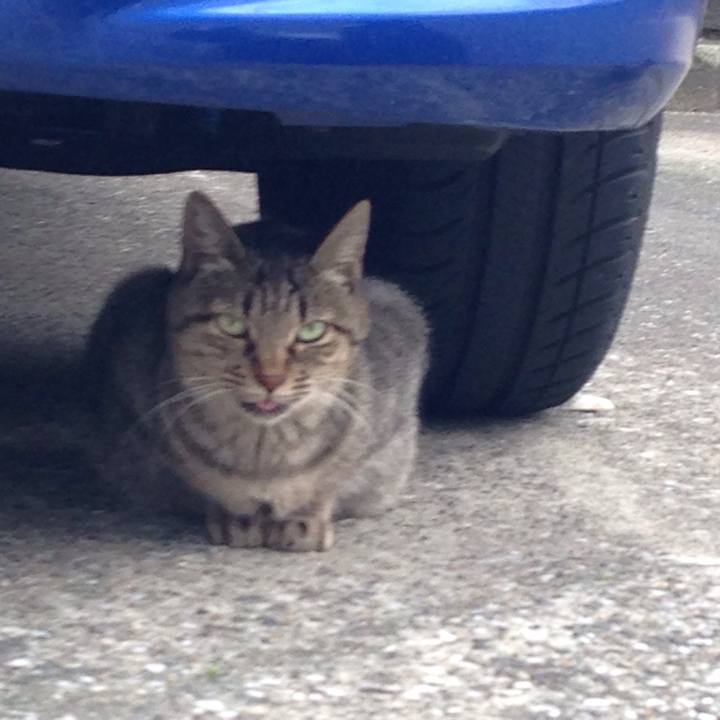 323d60c2 63bd 480d adc2 8729980d611b 1508851179900