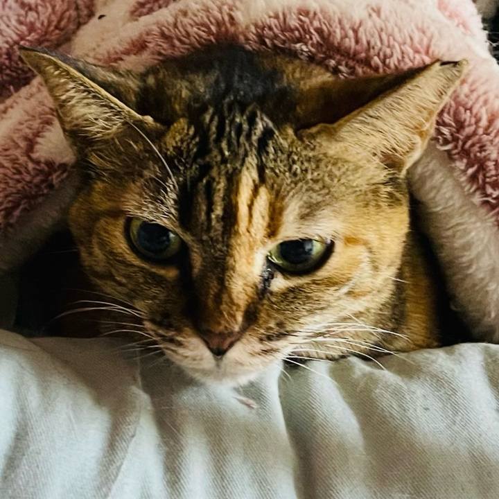 323d8231 8105 4b79 b9e4 bfcce3460f1e 1751374440018