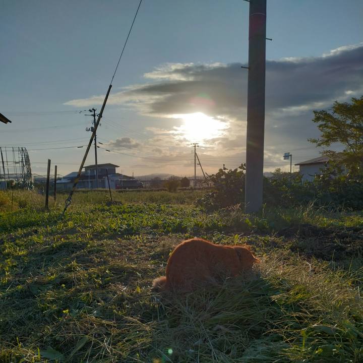 323d993d 8fe2 4fbb 9252 2b03b2407428 1696199890229