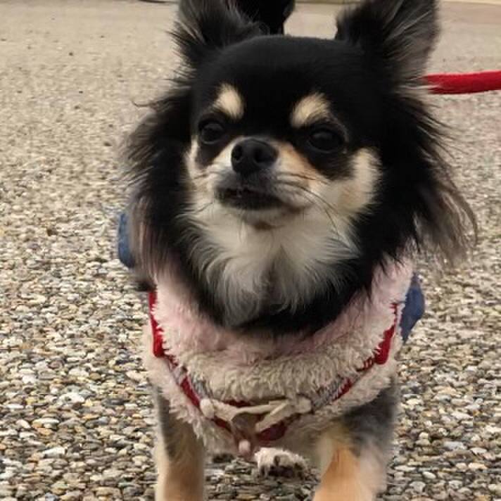 323dab9c 6136 48bb 9c4a 5ab6124074ff 1581290368991