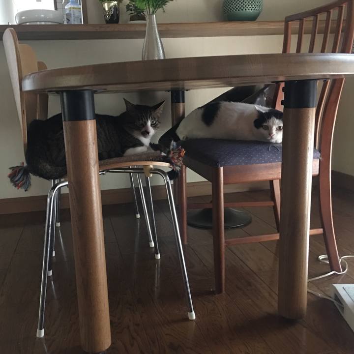 323db48d 8e0c 4902 8f0a 870a7ed55352 1563622231484