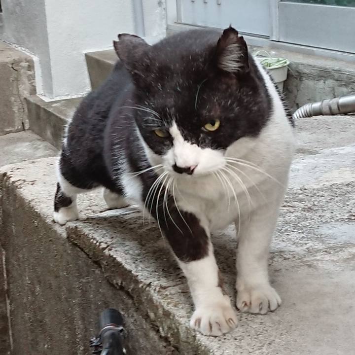 323dc44a 6054 47d6 8b95 7150a0bff5ff 1642577654413