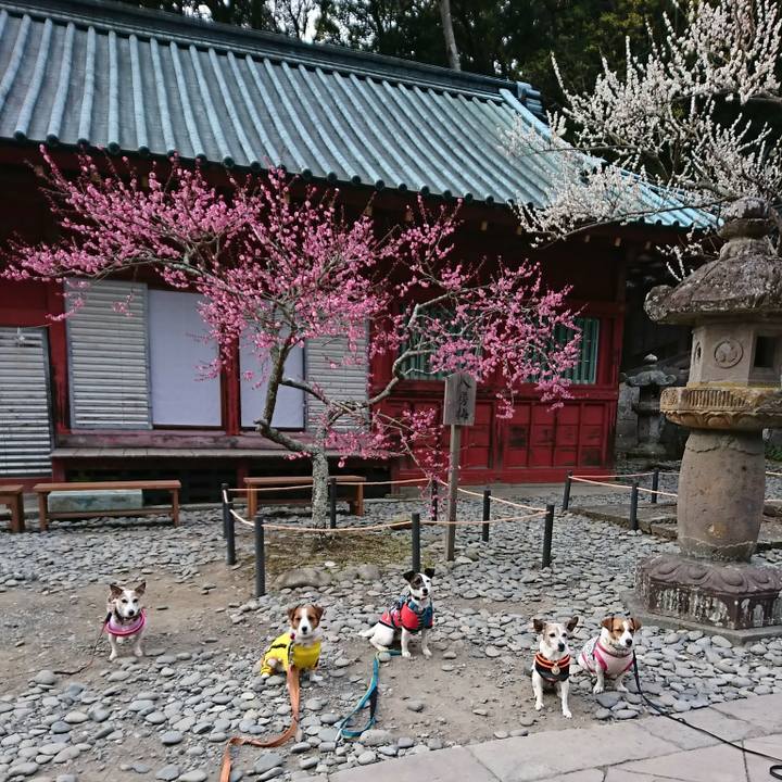 323ddb3e b0f0 4357 a9ca ca89820a6a9d 1519543419500