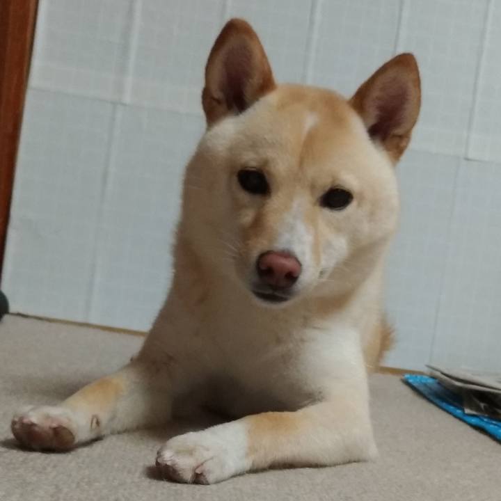 323de366 9c6b 425c bf1b 072ec872cfce 1527074826538