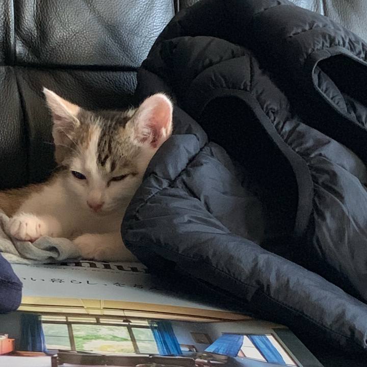 323de95b f4f5 4f68 a309 c1d7f2d7a6bc 1591772015554