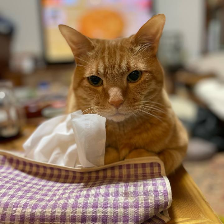 323e152f 7e2c 45a4 bc2a 8c9e3bf0d871 1708437418109