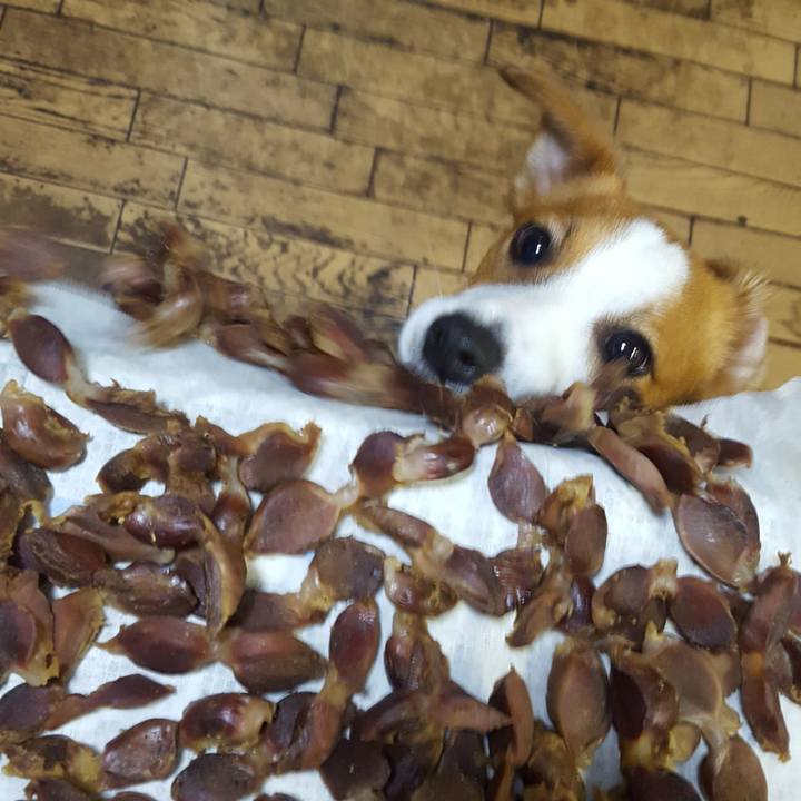 323e1f6c b37a 493d 893d e586d7c77629 1561178563647