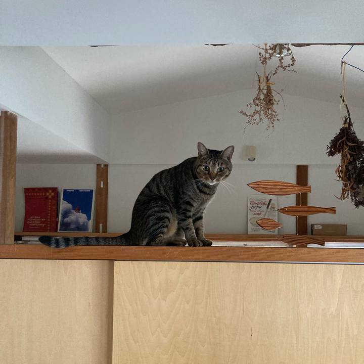 323e6558 9058 4715 a032 2cc009a675b0 1727481460586