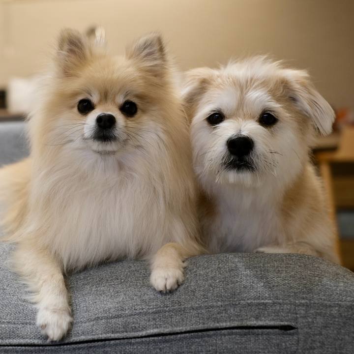 323e775b df46 4ef4 83f2 7664e93d1cce 1769379065215