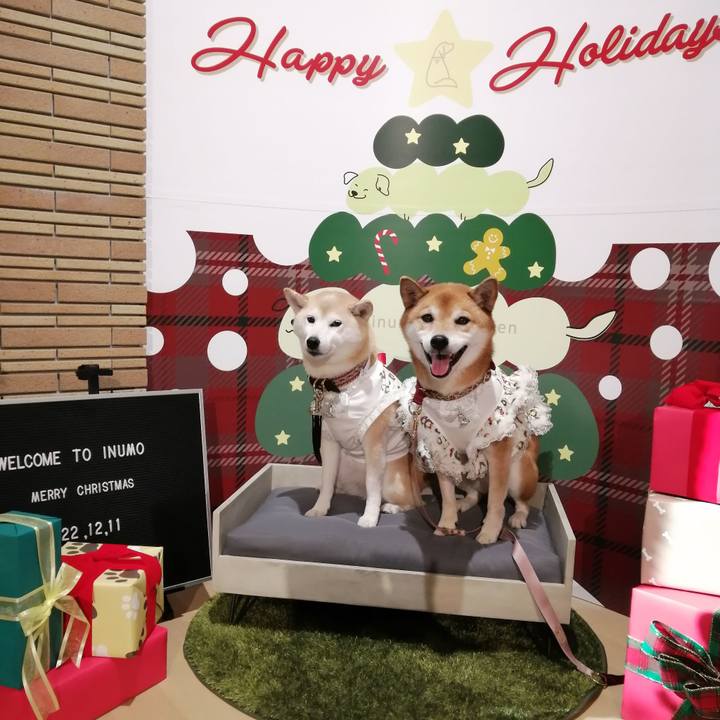 323e9cbd 129d 43f3 9a4c d95074c1cbaf 1670814037664