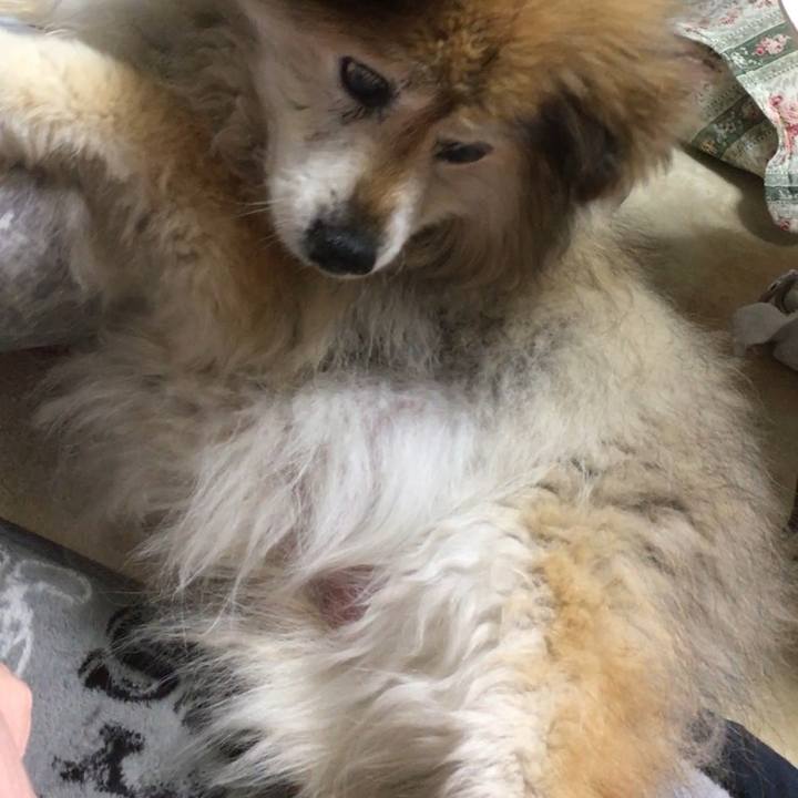 323eb16e 677c 4481 a40f 837a3c0a1912 1604018836603