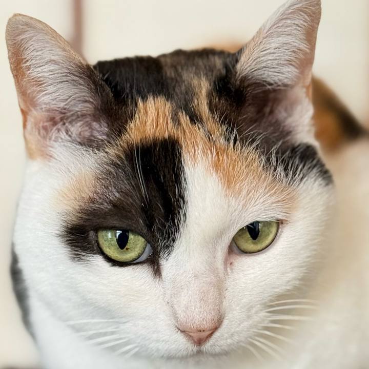 323ed55e 50be 435c 9f91 f7223c293945 1774660549164