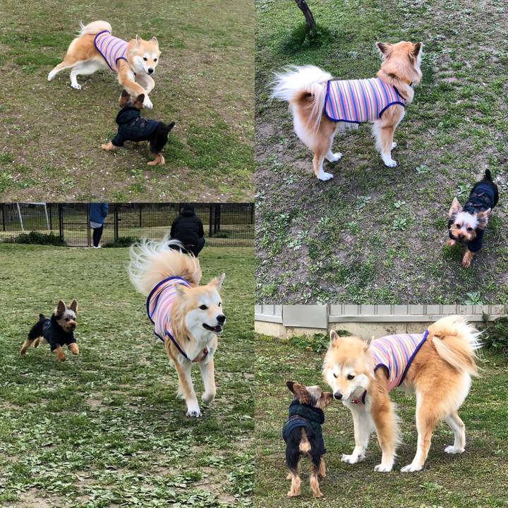 323ede1a 73b2 4261 8e35 6c42d82d7788 1584267543114