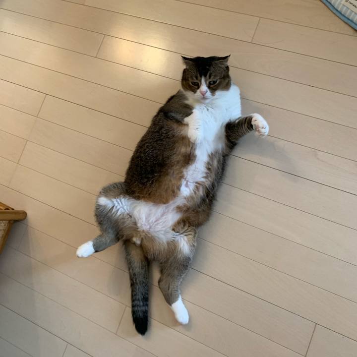 323ee226 e0f6 4d7d 8275 f6adfe318c07 1569129056002