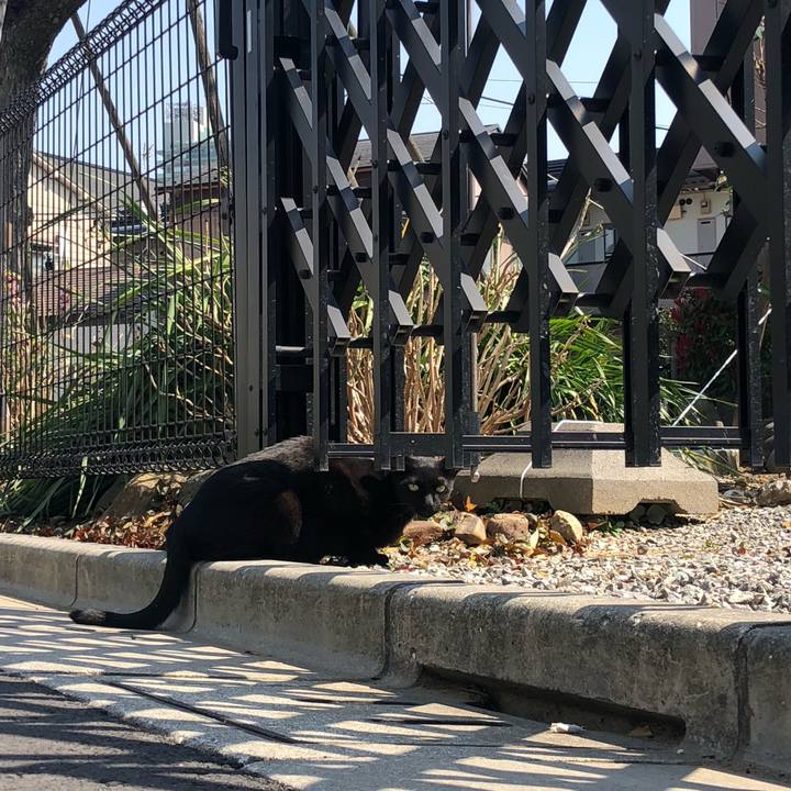 323f0642 d7d5 4791 ad25 ad8d9e49fe3e 1584631273169