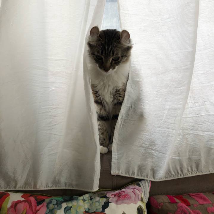 323f2983 8c7c 4996 8a64 f392a5430119 1520474860771