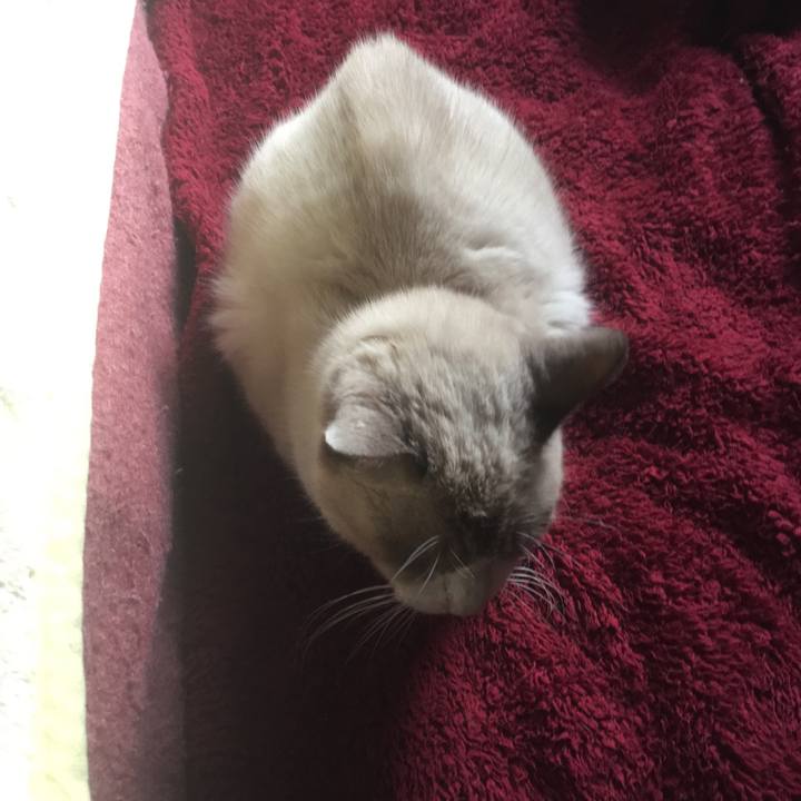 323f4894 0025 48b0 a8d7 827f4e5785d0 1542414842593