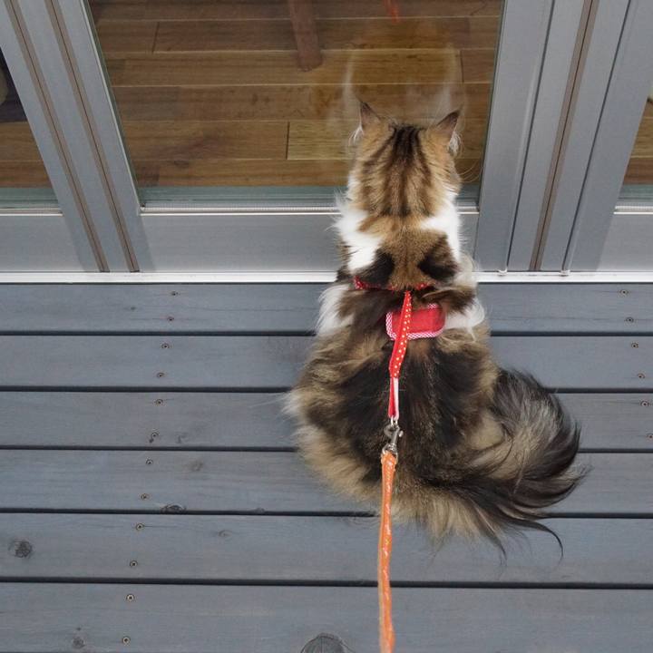 323f609f c4f8 4915 8850 031ba2b6fbc4 1562726569292