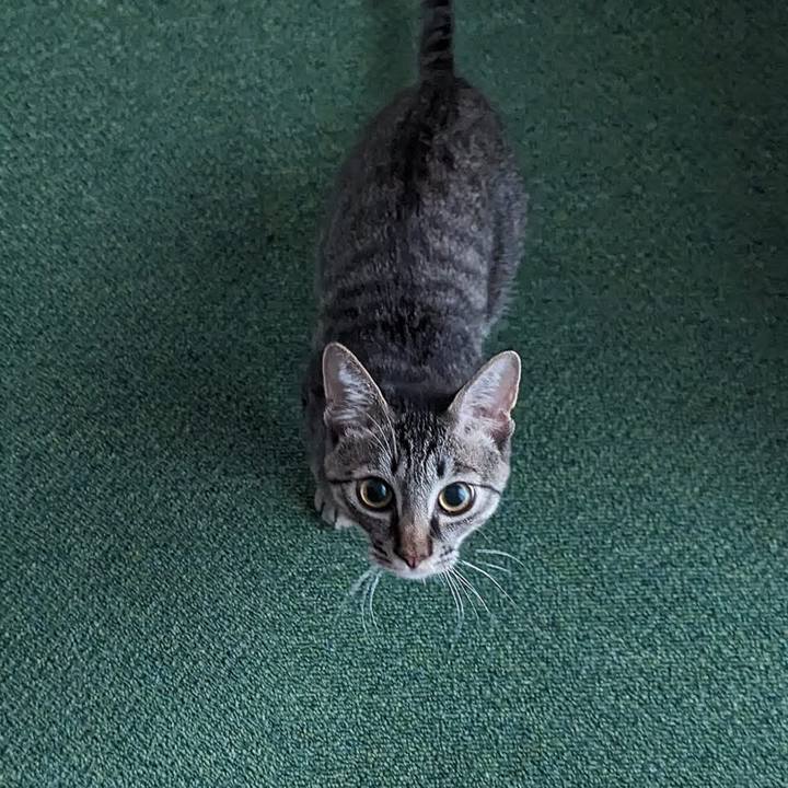 323f64d2 2cda 4dd0 b6b7 c3033c890641 1709700544780