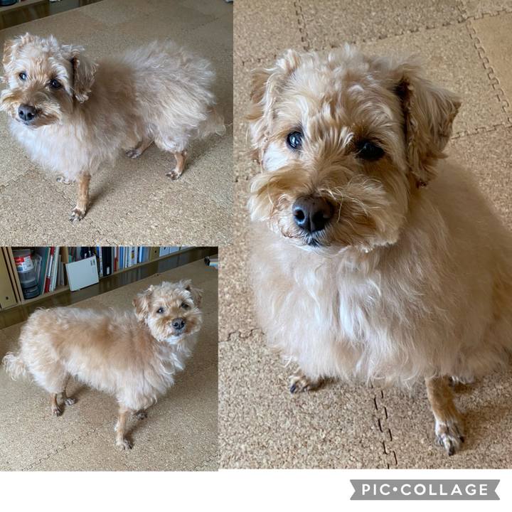 323faead 5440 40b9 ade1 d611579a05ad 1678590606135