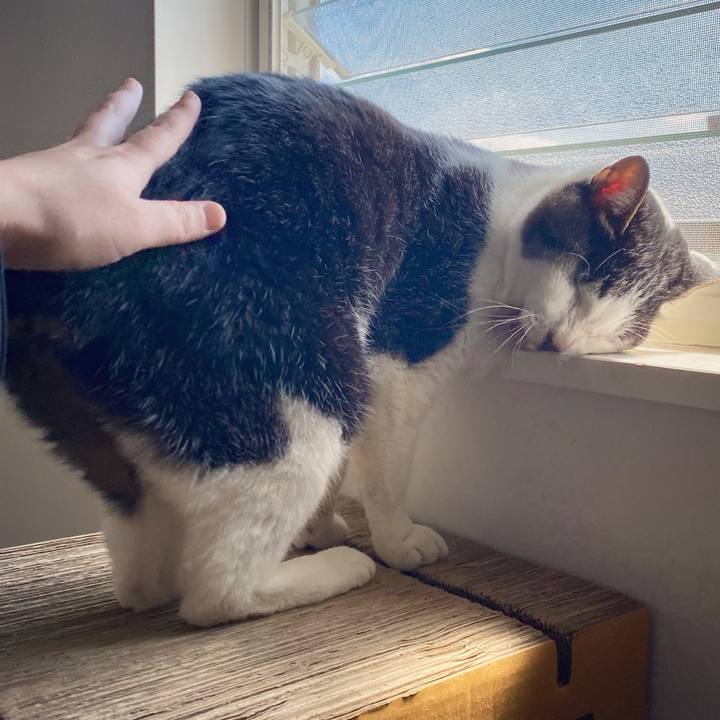 323fed7c 98f4 4e56 81ba 125add407db7 1616467247556