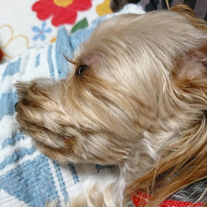 323ffb6c 3b1b 4962 a6a2 f1fd0ebe70a5 1532355004910